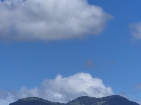 20260212_094514