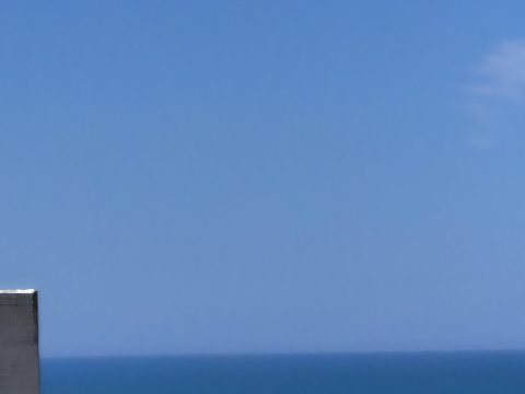 20260212_094749