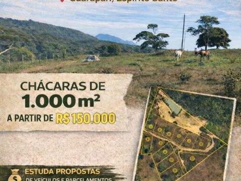 WhatsApp Image 2026-01-26 at 09.20.45