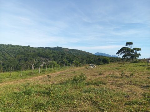 WhatsApp Image 2026-01-26 at 09.22.48