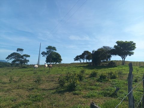 WhatsApp Image 2026-01-26 at 09.22.49